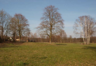 Nördlicher Teil des Plangebietes mit angrenzender Wohnbebauung, Blick nach Nordosten