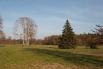 Zentraler Teil des Plangebietes, Blick nach Osten